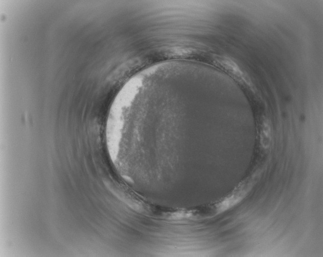 X0000061140366200512091940