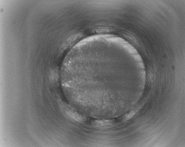 X0000061140367200512091940