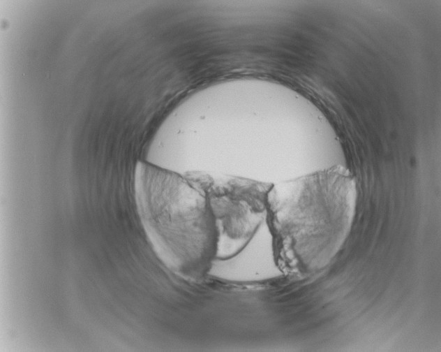 X0000061140369200512091940