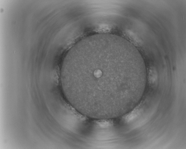 X0000061140370200512091940