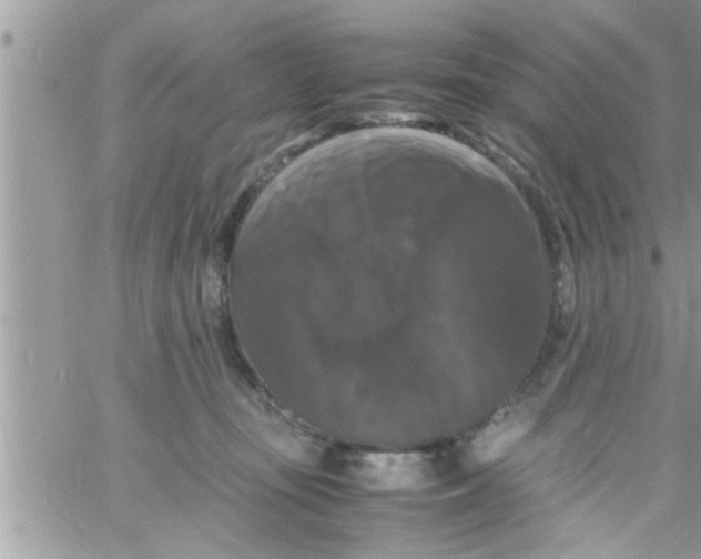 X0000061140371200512091940