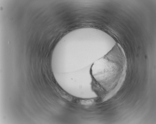 X0000061140373200512091940