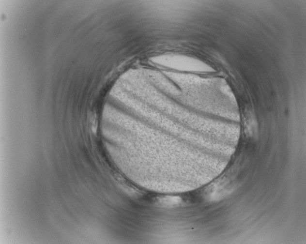 X0000061140374200512091940