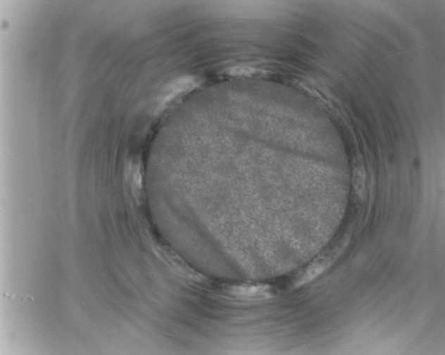 X0000061140375200512091940