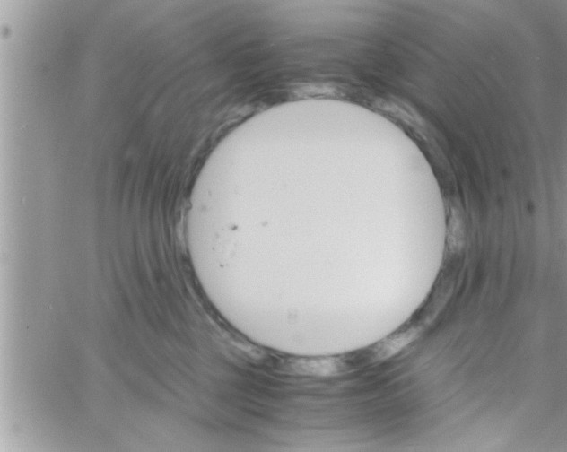 X0000061140377200512091940