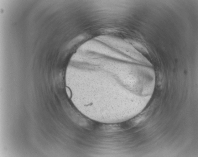 X0000061140378200512091940