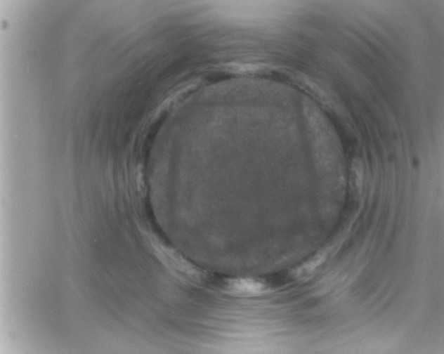 X0000061140380200512091940