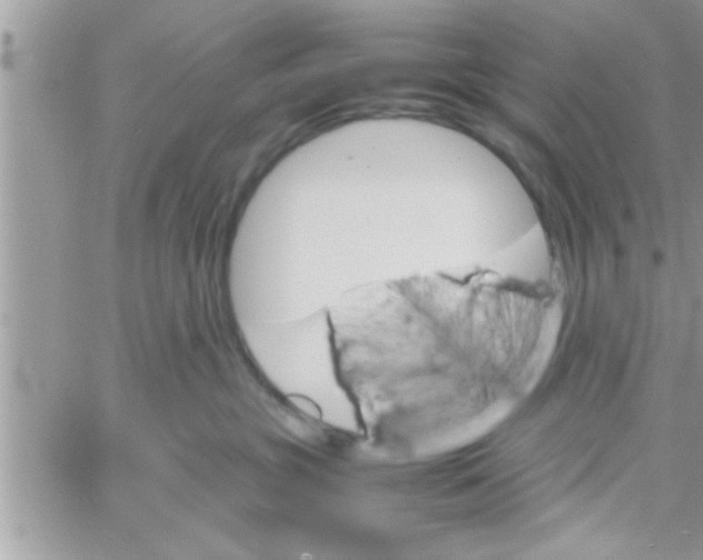 X0000061140381200512091940