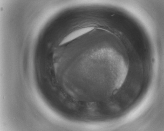 X0000061140382200512091940