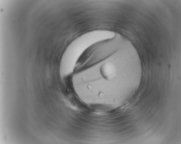 X0000061140383200512091940