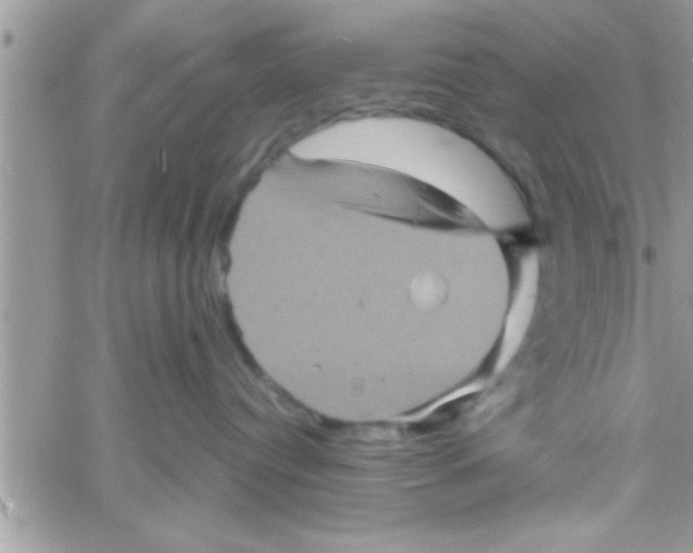 X0000061140384200512091940