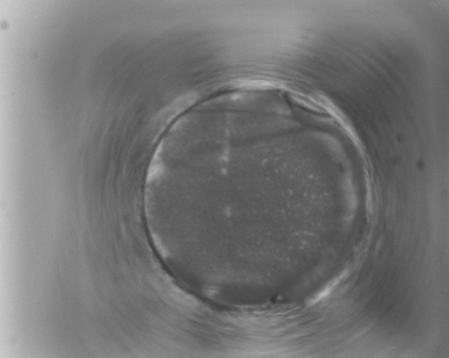 X0000061140385200512091939