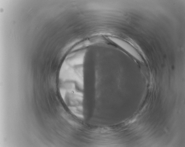 X0000061140386200512091939