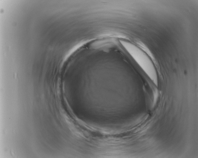 X0000061140387200512091939