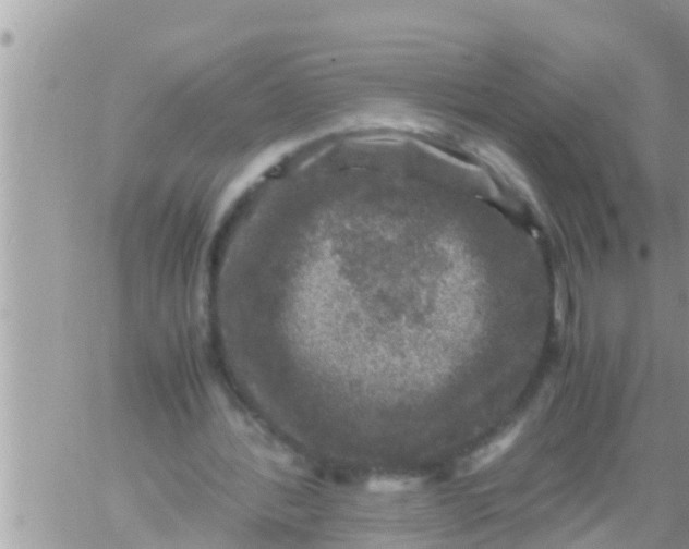 X0000061140388200512091939