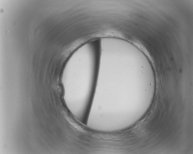 X0000061140389200512091939