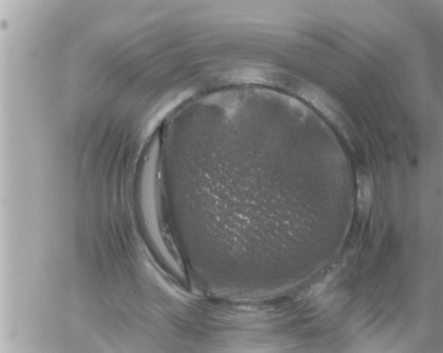 X0000061140390200512091939