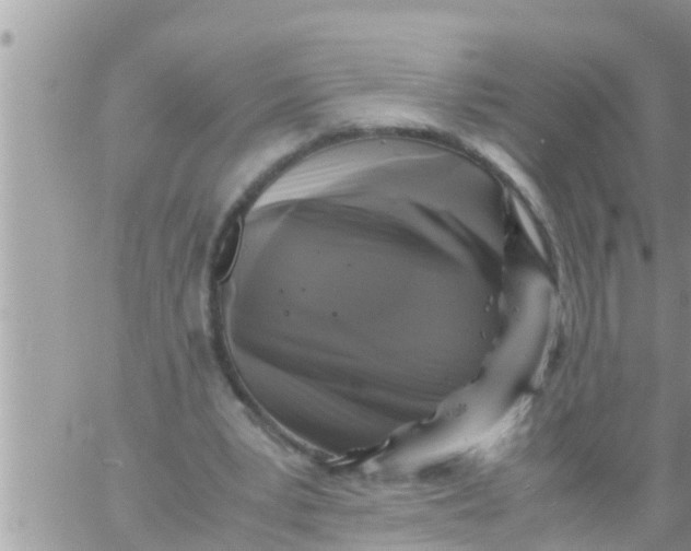 X0000061140391200512091939