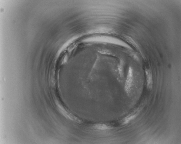 X0000061140392200512091939