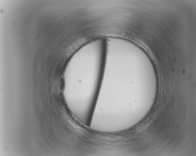 X0000061140393200512091939