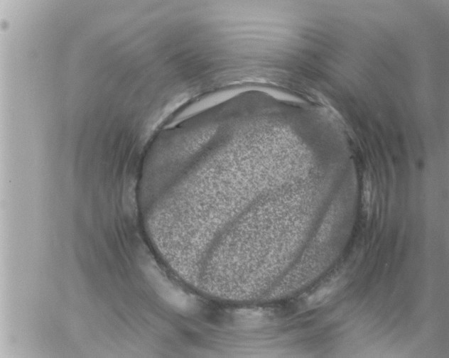 X0000061140394200512091939