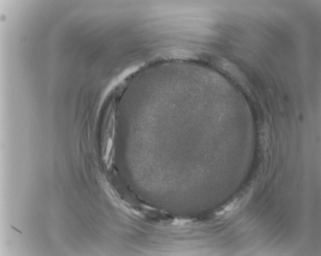 X0000061140395200512091939