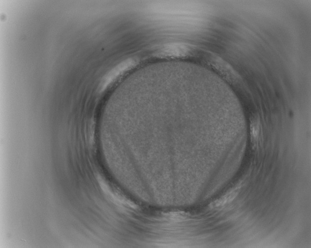 X0000061140396200512091939