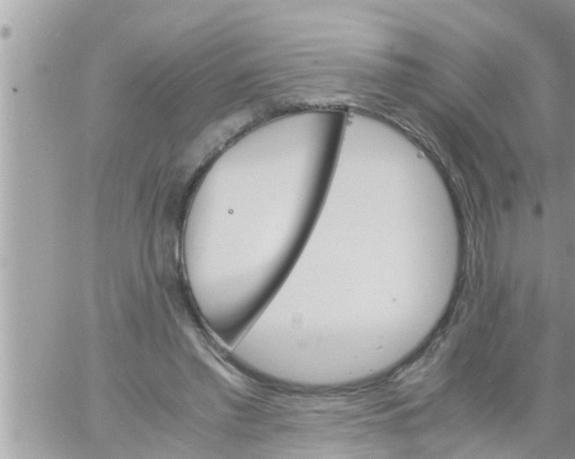 X0000061140397200512091939