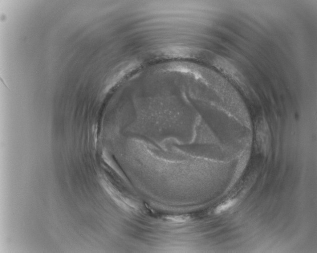 X0000061140398200512091939