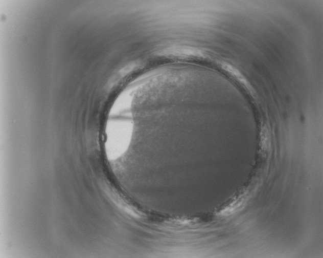 X0000061140399200512091939