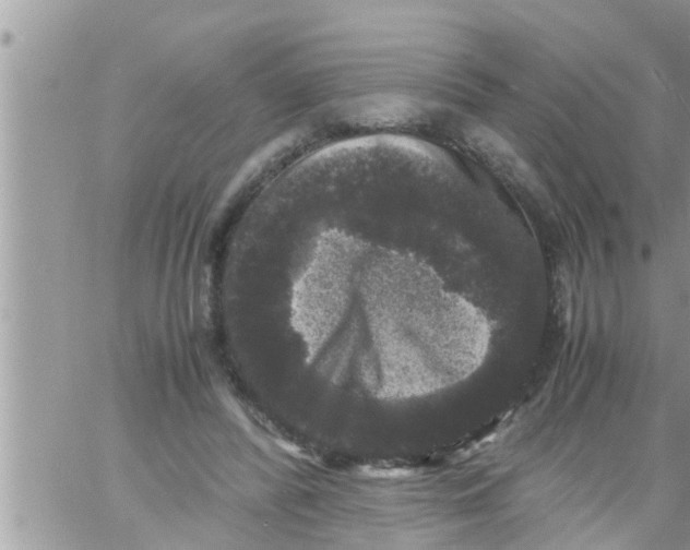 X0000061140400200512091939