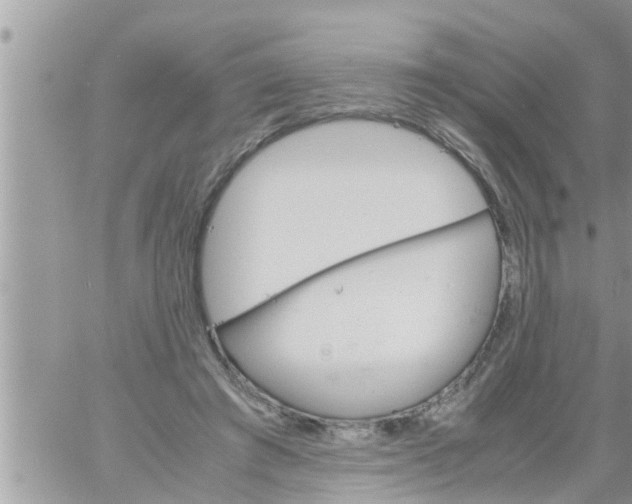 X0000061140401200512091939