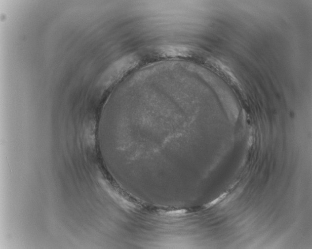 X0000061140402200512091939