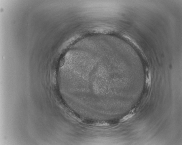 X0000061140403200512091939