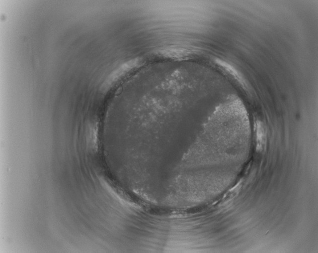 X0000061140404200512091939