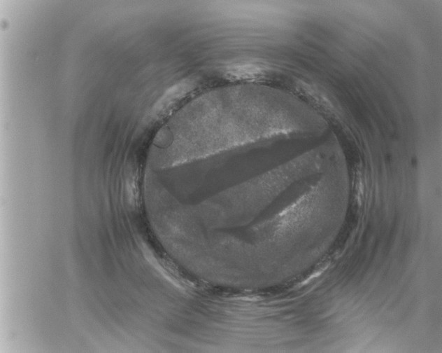 X0000061140408200512091939