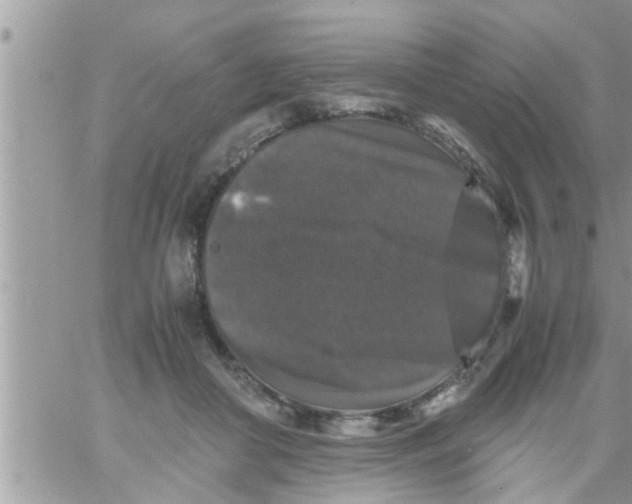 X0000061140410200512091939