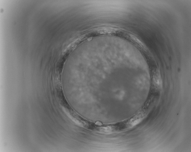 X0000061140411200512091939