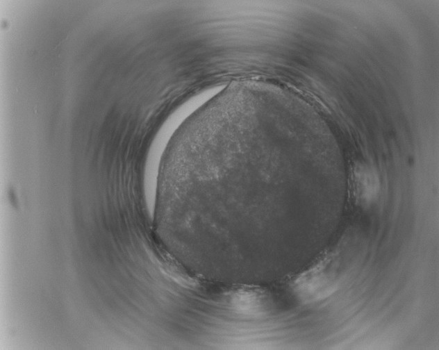 X0000061140412200512091939