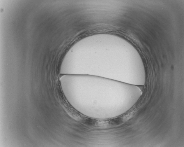 X0000061140413200512091939