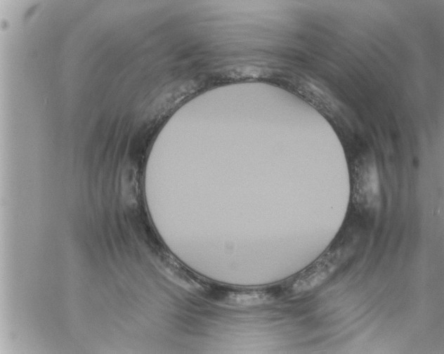 X0000061140414200512091939