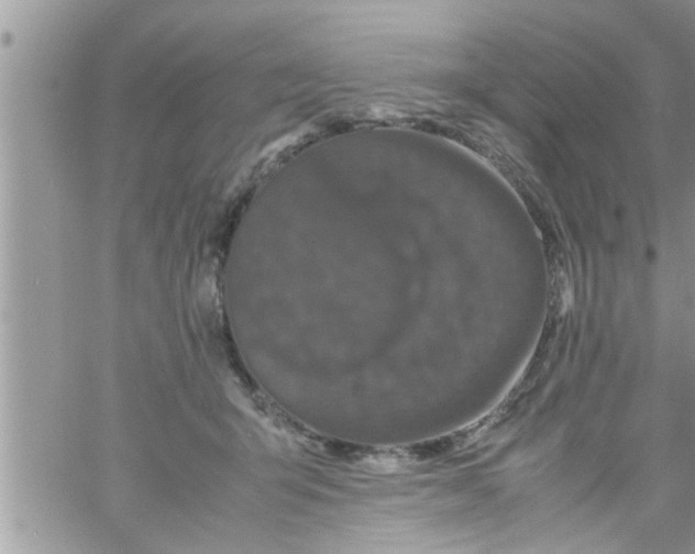 X0000061140415200512091939