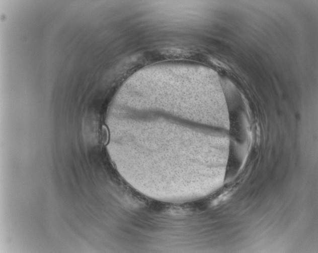 X0000061140416200512091939