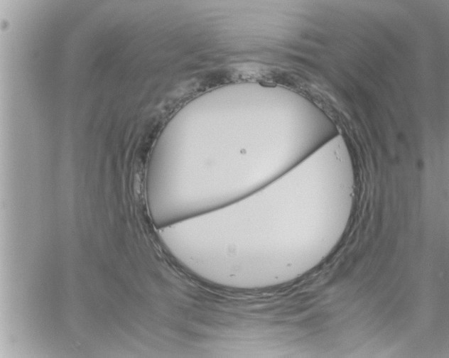 X0000061140417200512091939