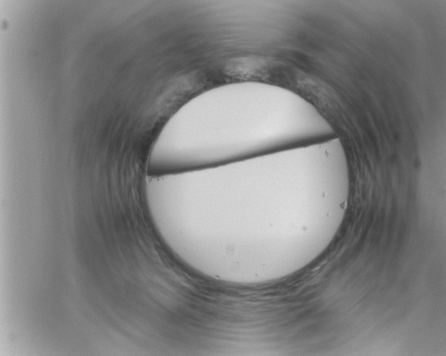 X0000061140420200512091939