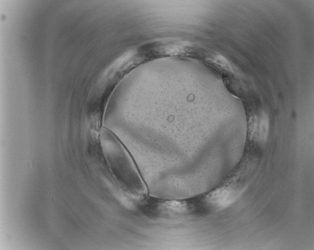 X0000061140421200512091939