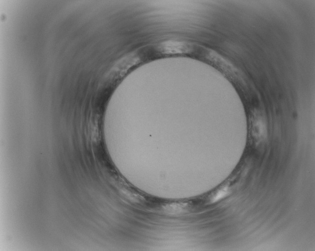 X0000061140422200512091939