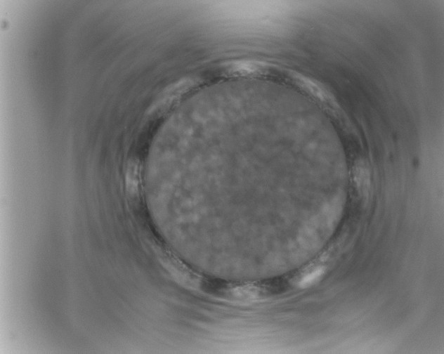 X0000061140423200512091939