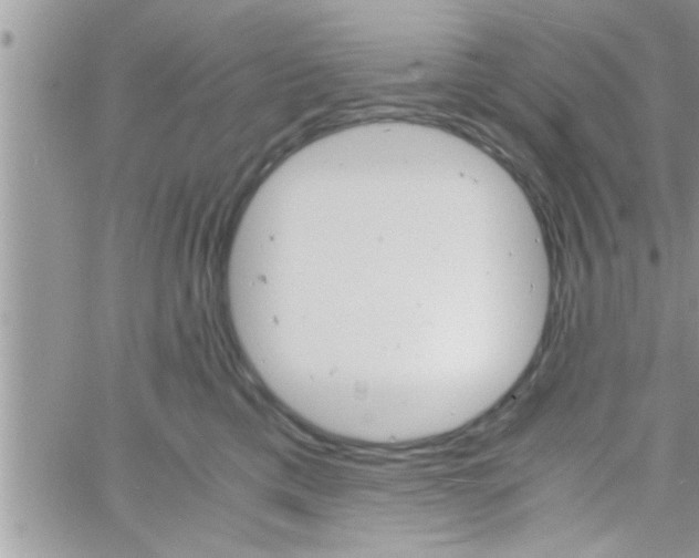 X0000061140425200512091938