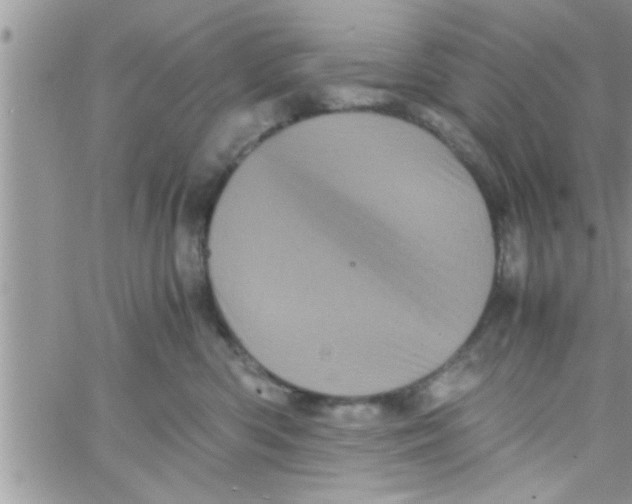 X0000061140426200512091938